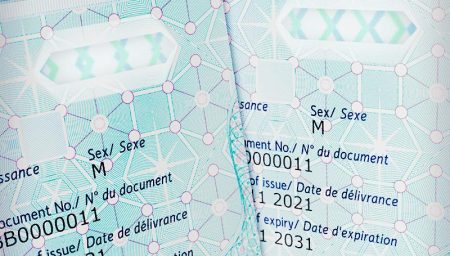 Optically variable security feature for ID documents Optically variable security feature for ID documents